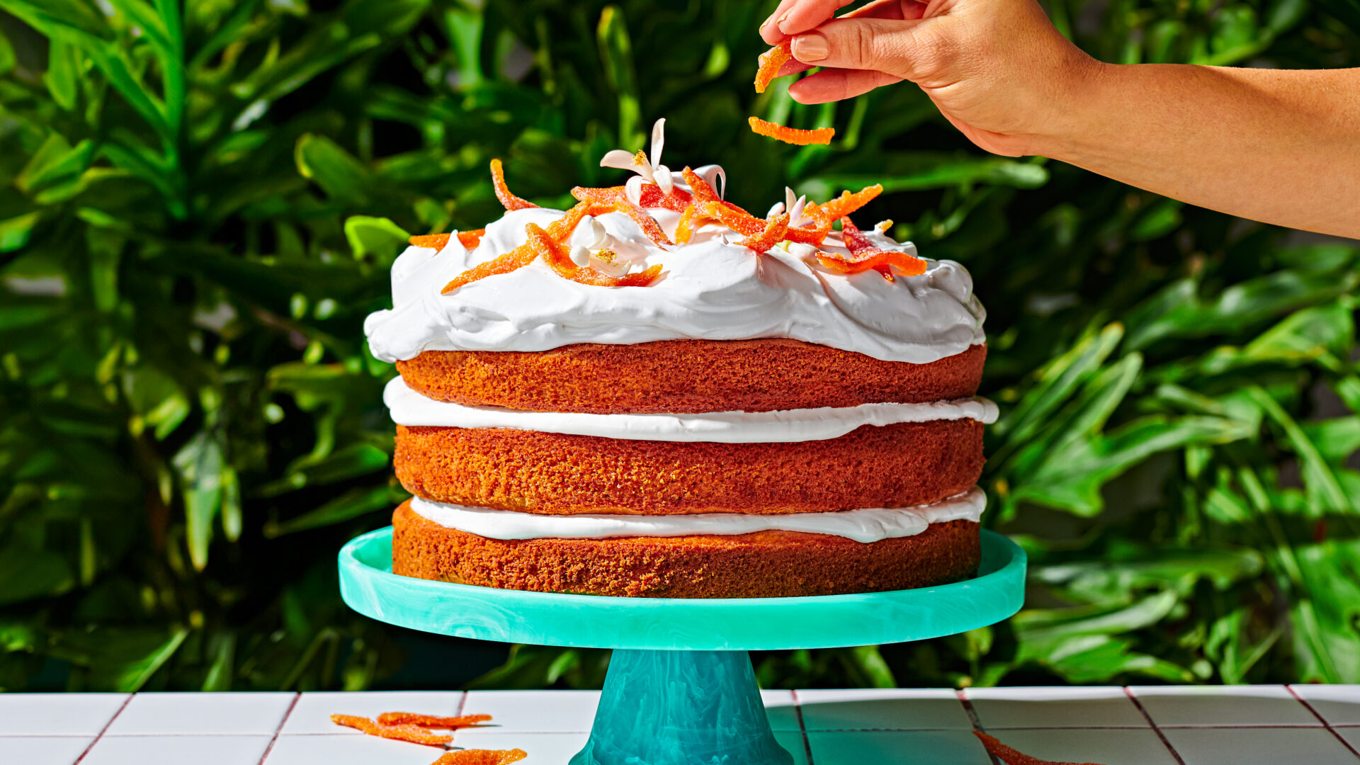 A three layer cake topped with whipped cream and candied citrus